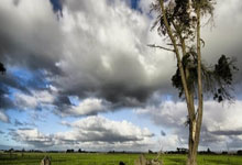 步行者队员心怀复仇之心，欲击败常规赛最强对手