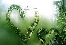 拉齐奥惊险取胜，继续保持不败纪录