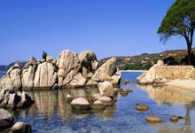 热刺在欧洲比赛中表现抢眼